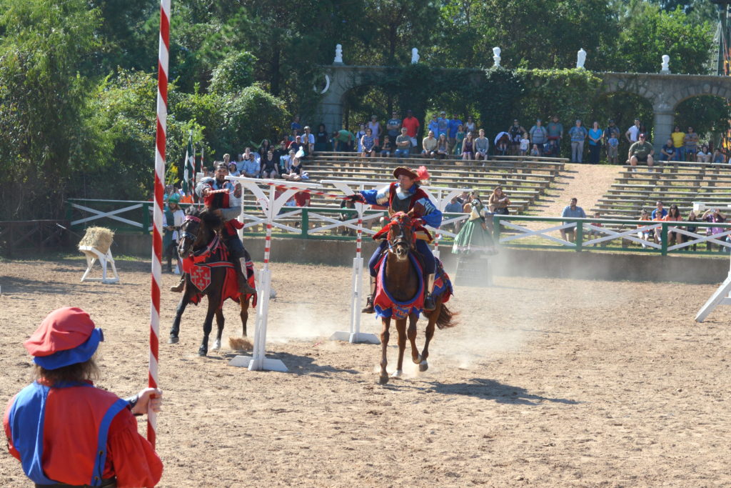 7 Tips for Visiting the Texas Renaissance Festival #texrenfest #hosted | mybigfathappylife.com