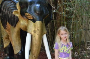7 Tips for Visiting the Texas Renaissance Festival #texrenfest #hosted | mybigfathappylife.com