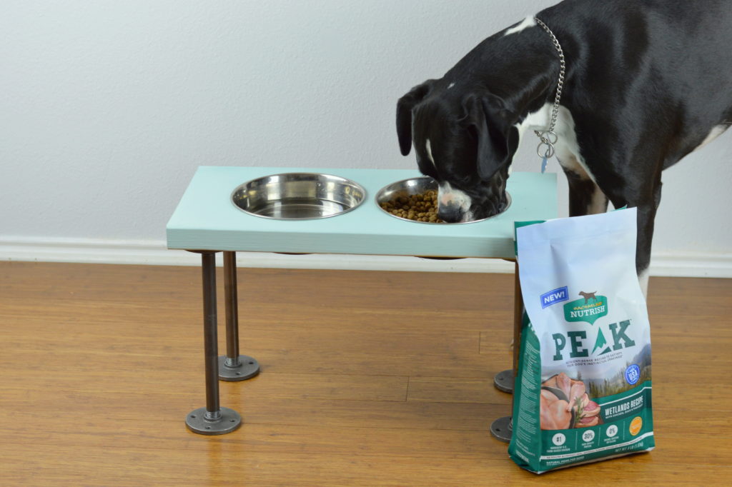 DIY Raised Dog Feeder - How to make raised dog food bowls with industrial style legs.