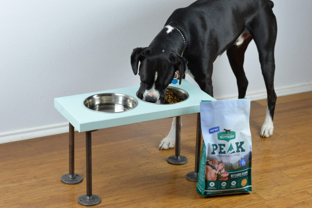 DIY Raised Dog Feeder - How to make raised dog food bowls with industrial style legs.