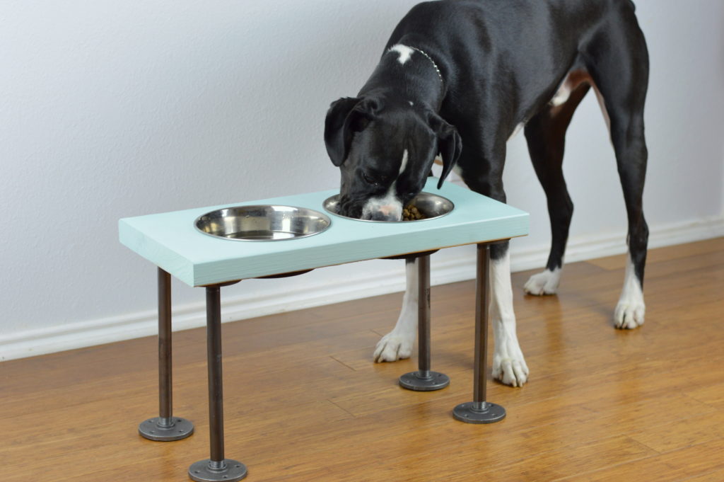 DIY Raised Dog Feeder - How to make raised dog food bowls with industrial style legs.