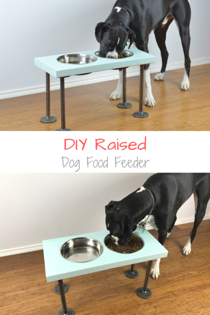 DIY Raised Dog Feeder - How to make raised dog food bowls with industrial style legs.