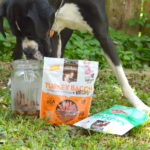 A super sweet DIY dog treat jar that is personalized with your furbaby's name would be the perfect addition to your home.