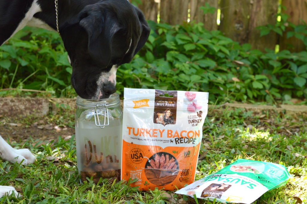 A super sweet DIY dog treat jar that is personalized with your furbaby's name would be the perfect addition to your home.