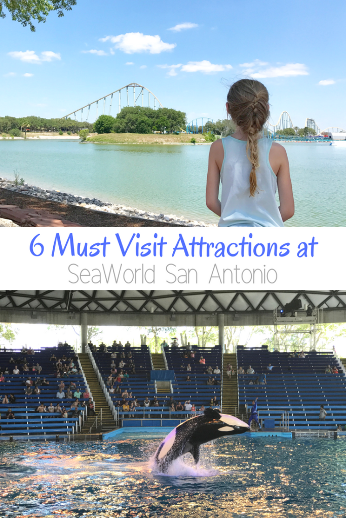 6 Must Visit Attractions at SeaWorld San Antonio