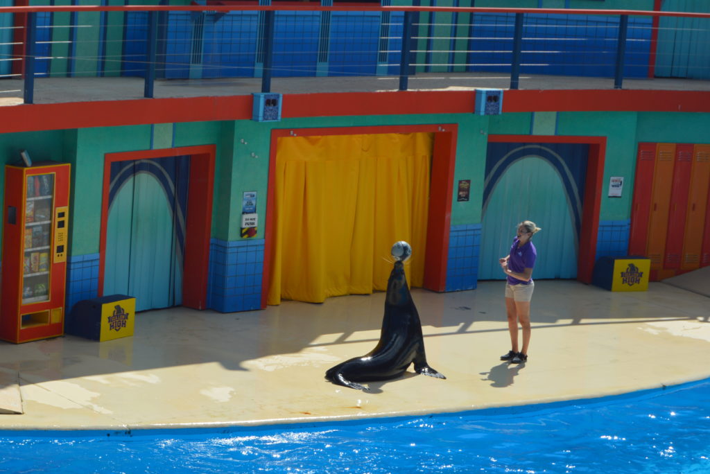 6 Must Visit Attractions at SeaWorld San Antonio