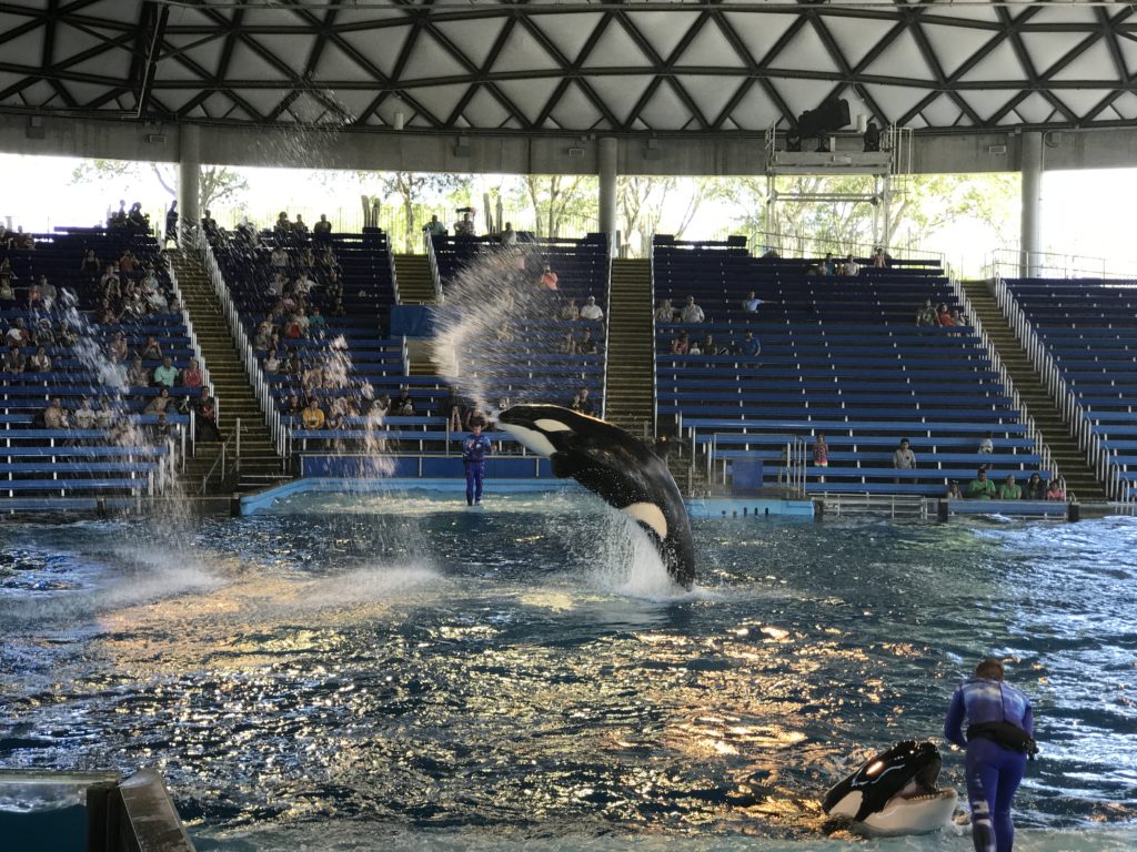 15 Tips for Visiting SeaWorld San Antonio