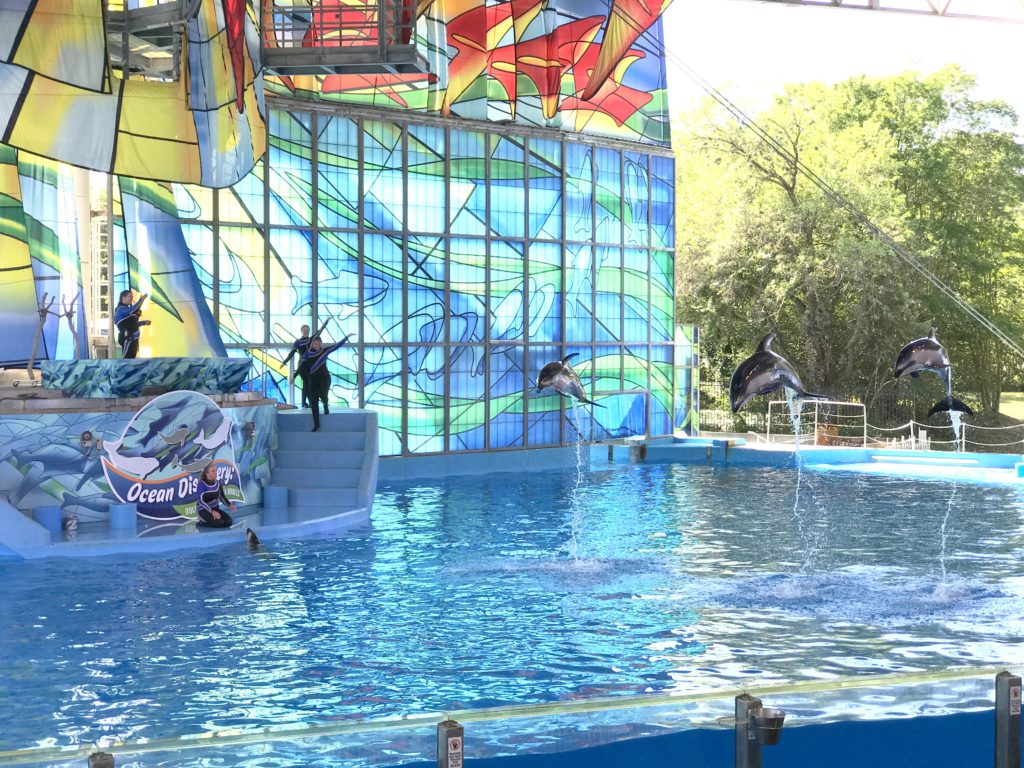 6 Must Visit Attractions at SeaWorld San Antonio