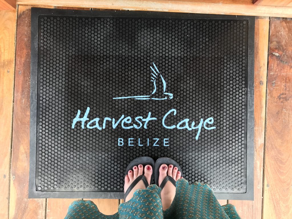 While you might think a private beach cabana on Harvest Caye Belize isn't in your budget I've got 8 reasons why you should book one and why I'll be booking one again.