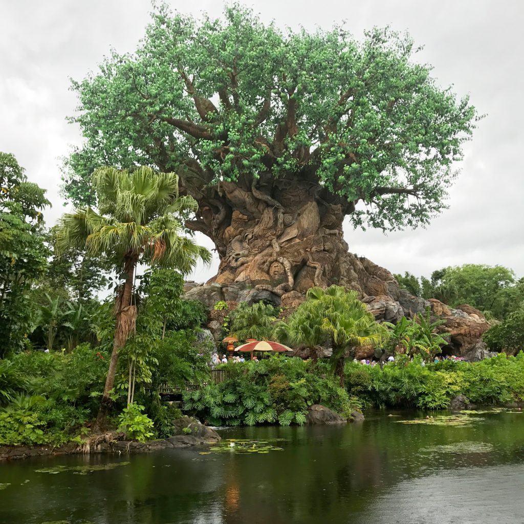 Tips for Booking Walt Disney World Fastpass+ Reservations