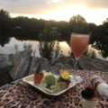 A look at and review of the new Rivers of Light Dessert Party at Animal Kingdom at Walt Disney World! A wonderful way to end the evening.