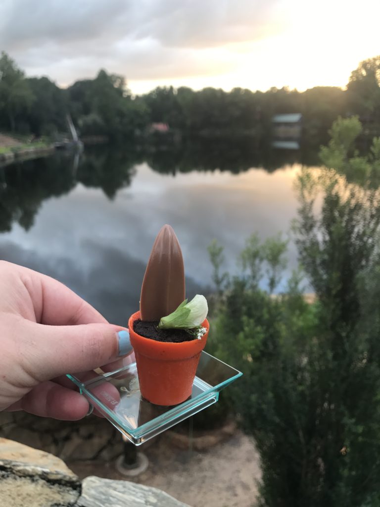 A look at and review of the new Rivers of Light Dessert Party at Animal Kingdom at Walt Disney World! A wonderful way to end the evening.