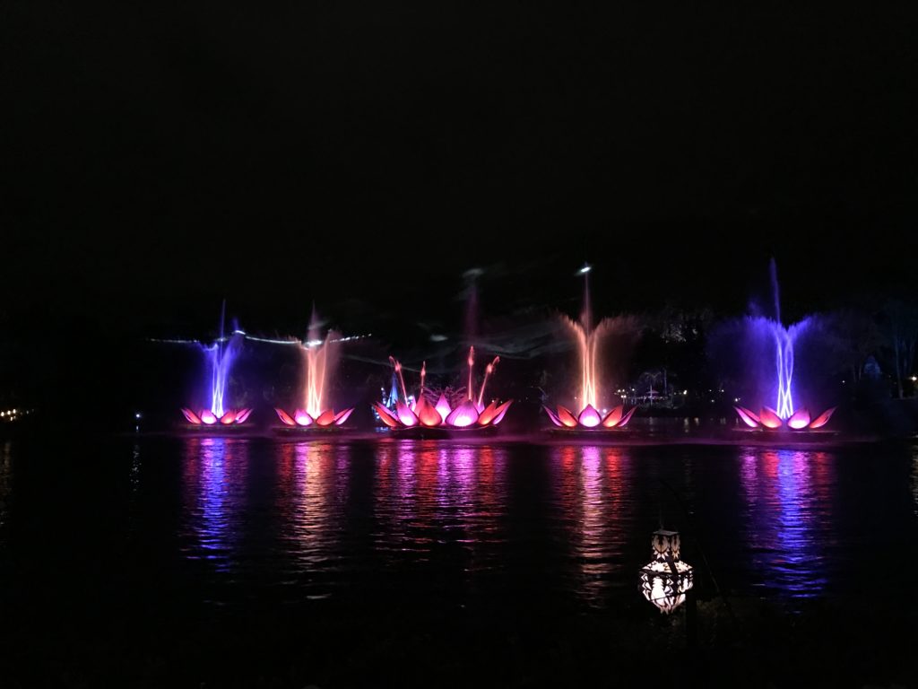 A look at and review of the new Rivers of Light Dessert Party at Animal Kingdom at Walt Disney World! A wonderful way to end the evening.