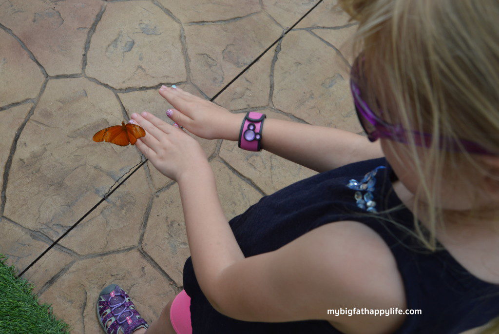 10 Tips for Taking Kids to the Epcot International Flower and Garden Festival so that they stay engaged, happy and entertained.