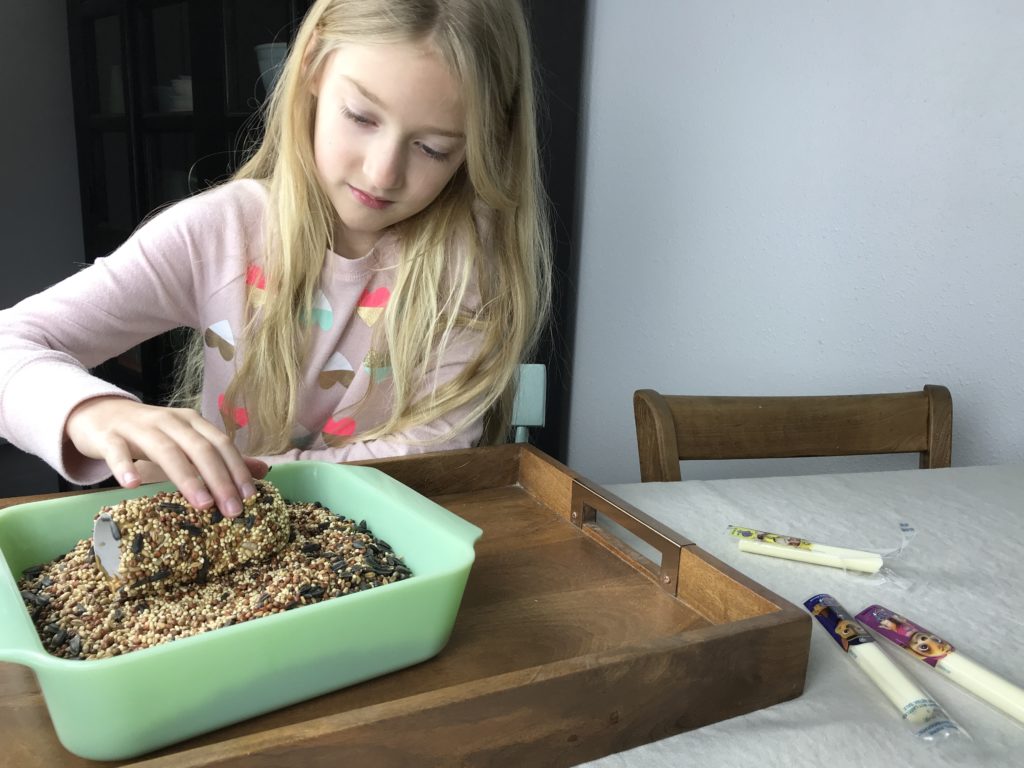 This quick and easy snack, baked cheese balls, are a healthier snack since they are baked instead of being fried! Plus a fun, DIY bird feeder.