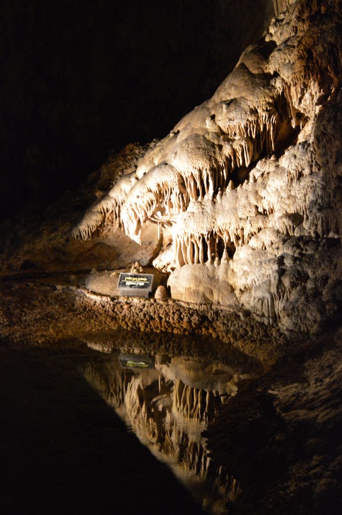 What you need to know and tips for visiting Carlsbad Caverns National Park in southern New Mexico.