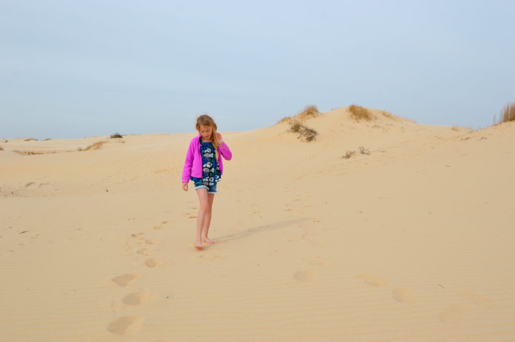 Enjoy a day with family taking in the beautiful sand dunes and sand sledding at Monahans Sandhills State Park.