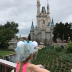Walt Disney World has endless options for capturing an amazing photo for Instagram.  I am sharing the best Instagram photo spots at Walt Disney World.  