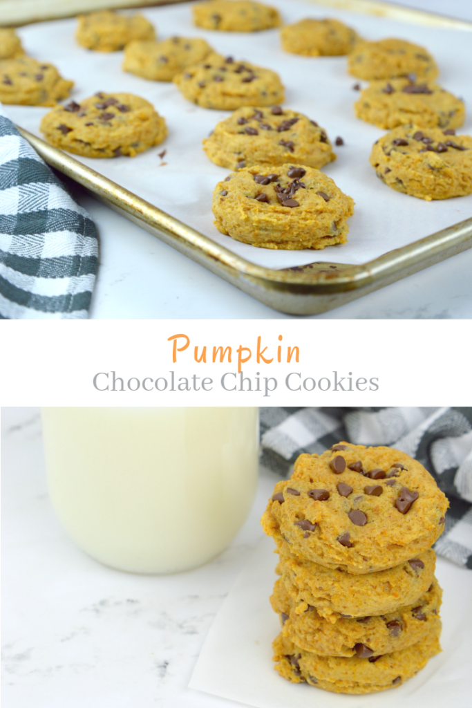 Soft and chewy pumpkin chocolate chip cookies are a must-try this fall!