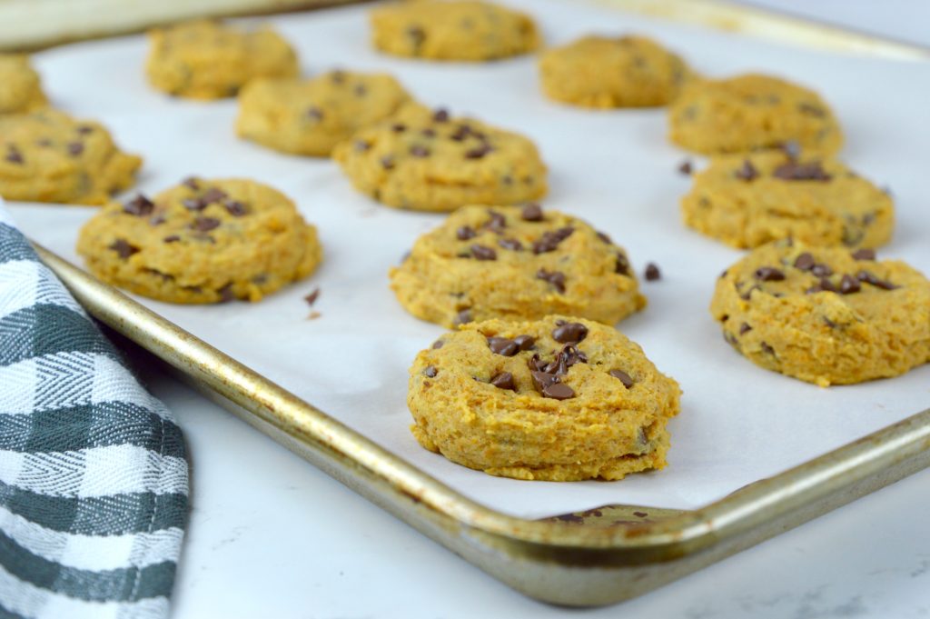 Soft and chewy pumpkin chocolate chip cookies are a must-try this fall!