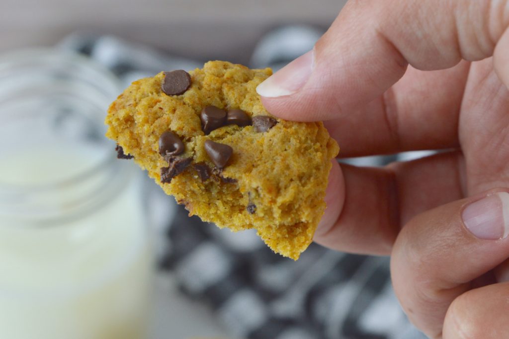 Soft and chewy pumpkin chocolate chip cookies are a must-try this fall!