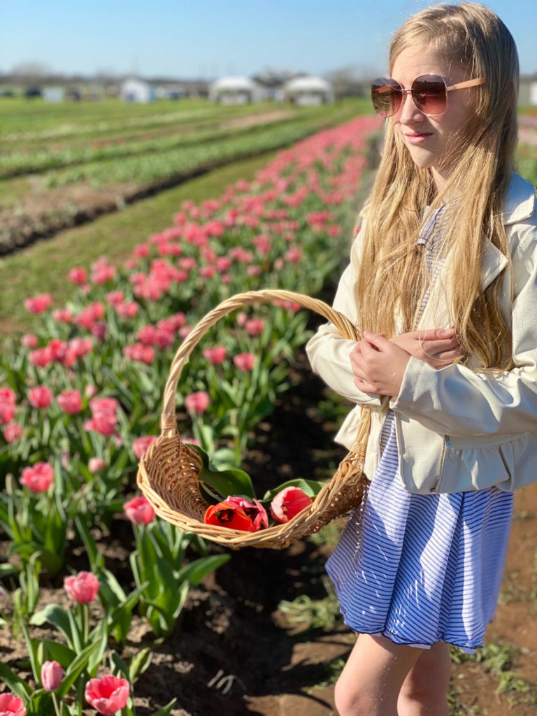 Straight out of Holland smack dab in the middle of Texas are tulip fields waiting to be explored.