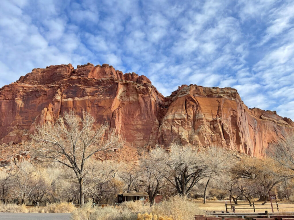 Everything you must do and see to have an amazing one-day trip to Capitol Reef National Park in Utah.