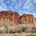 Everything you must do and see to have an amazing one-day trip to Capitol Reef National Park in Utah.