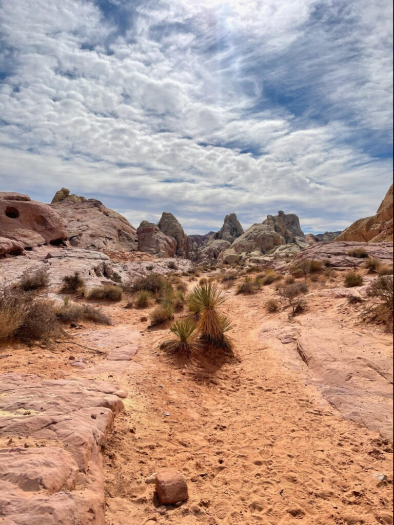 All the tips and a list of what to do and see at Valley of Fire State Park in Nevada including Fire Wave.