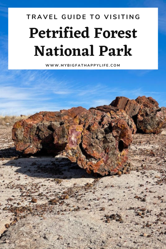 All the tips to help you have an amazing trip to Petrified Forest National Park in Arizona. 