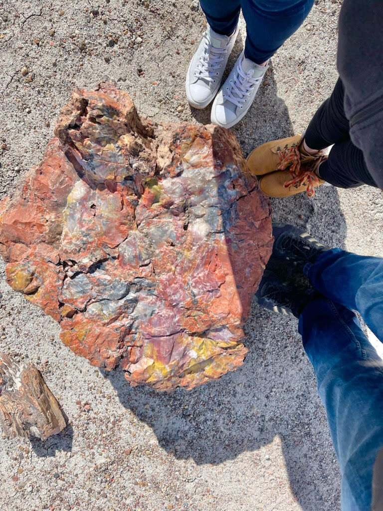 All the tips to help you have an amazing trip to Petrified Forest National Park in Arizona. 