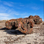 All the tips to help you have an amazing trip to Petrified Forest National Park in Arizona. 