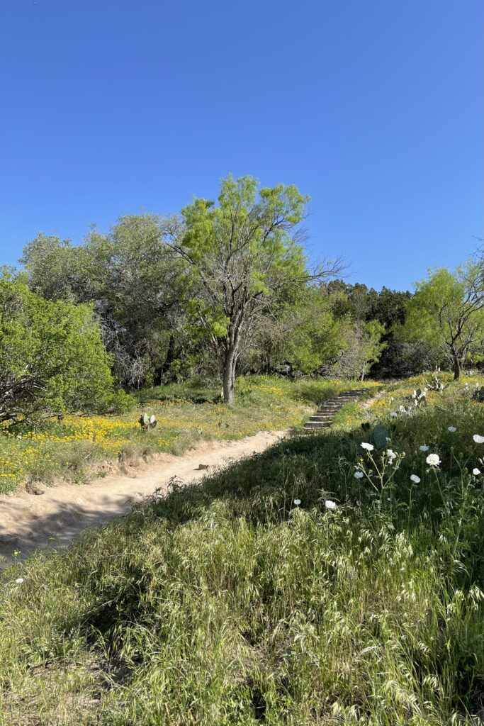 All the tips and reasons you should visit Pedernales Falls State Park near Austin, Texas.