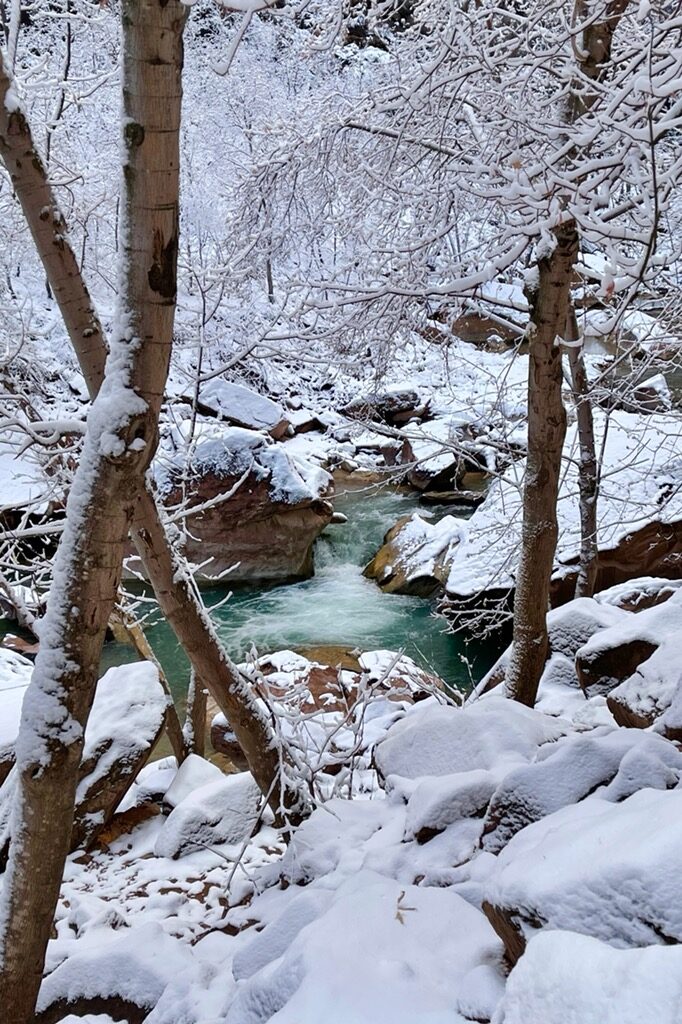 All the tips to help you have an amazing trip to Zion National Park in winter. 