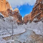 All the tips to help you have an amazing trip to Zion National Park in winter. 