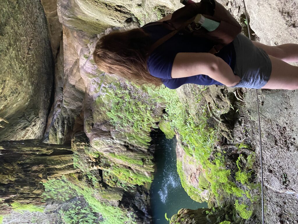 This beautiful grotto at the Westcave Preserve is a hidden gem in the Austin, Texas area.