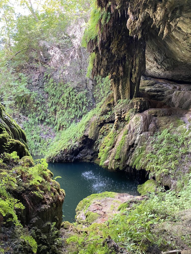 This beautiful grotto at the Westcave Preserve is a hidden gem in the Austin, Texas area.