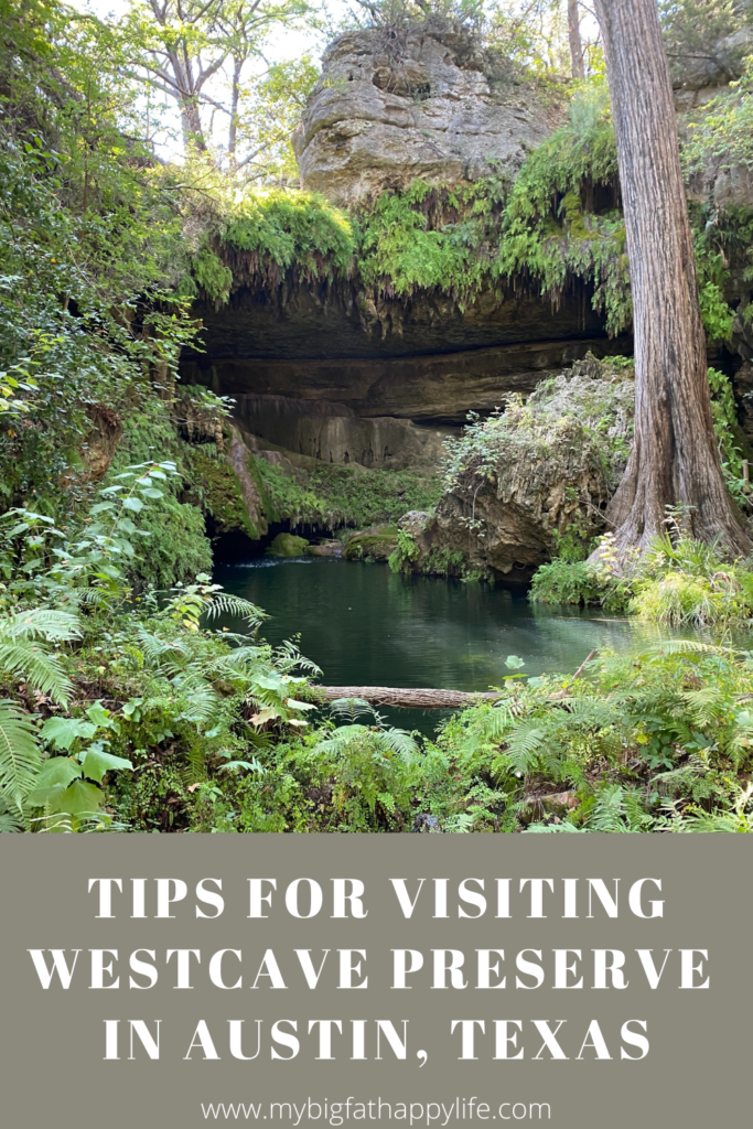This beautiful grotto at the Westcave Preserve is a hidden gem in the Austin, Texas area.
