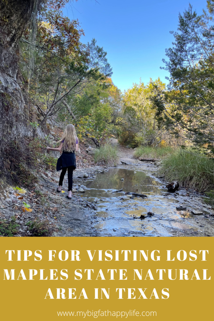 All the tips and reasons you should visit Lost Maples State Natural Area in Texas.