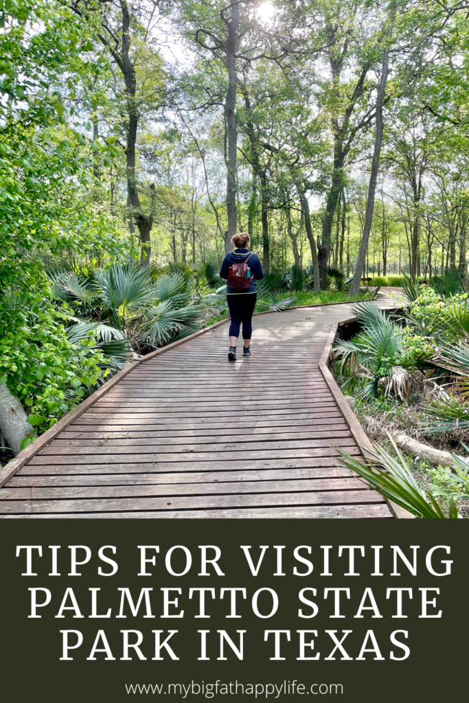 All the tips and reasons you should visit Palmetto State Park located between Austin and San Antonio, Texas.