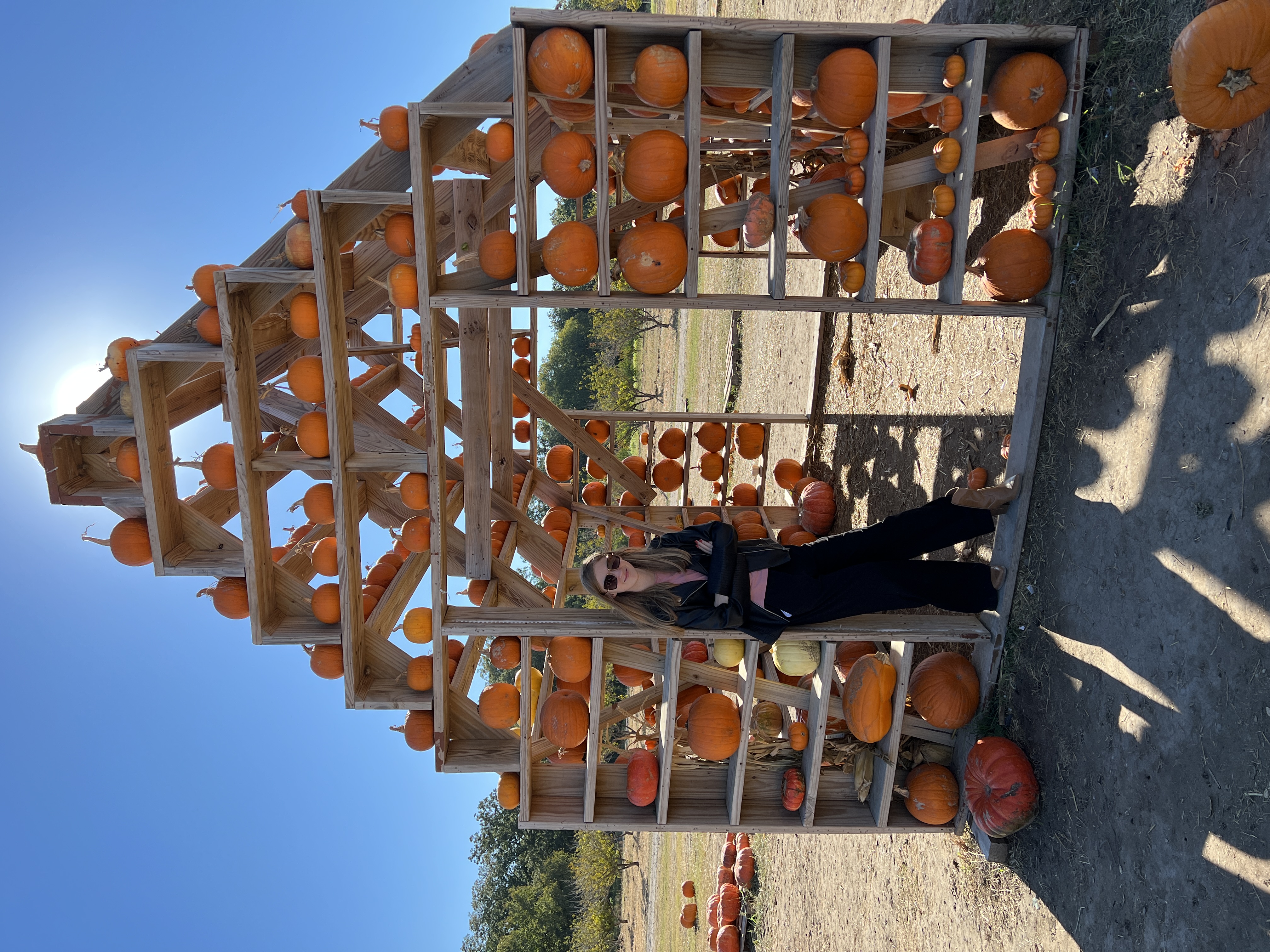 A list of some of the best Austin area pumpkin patches that are full of autumn fun activities for the whole family.