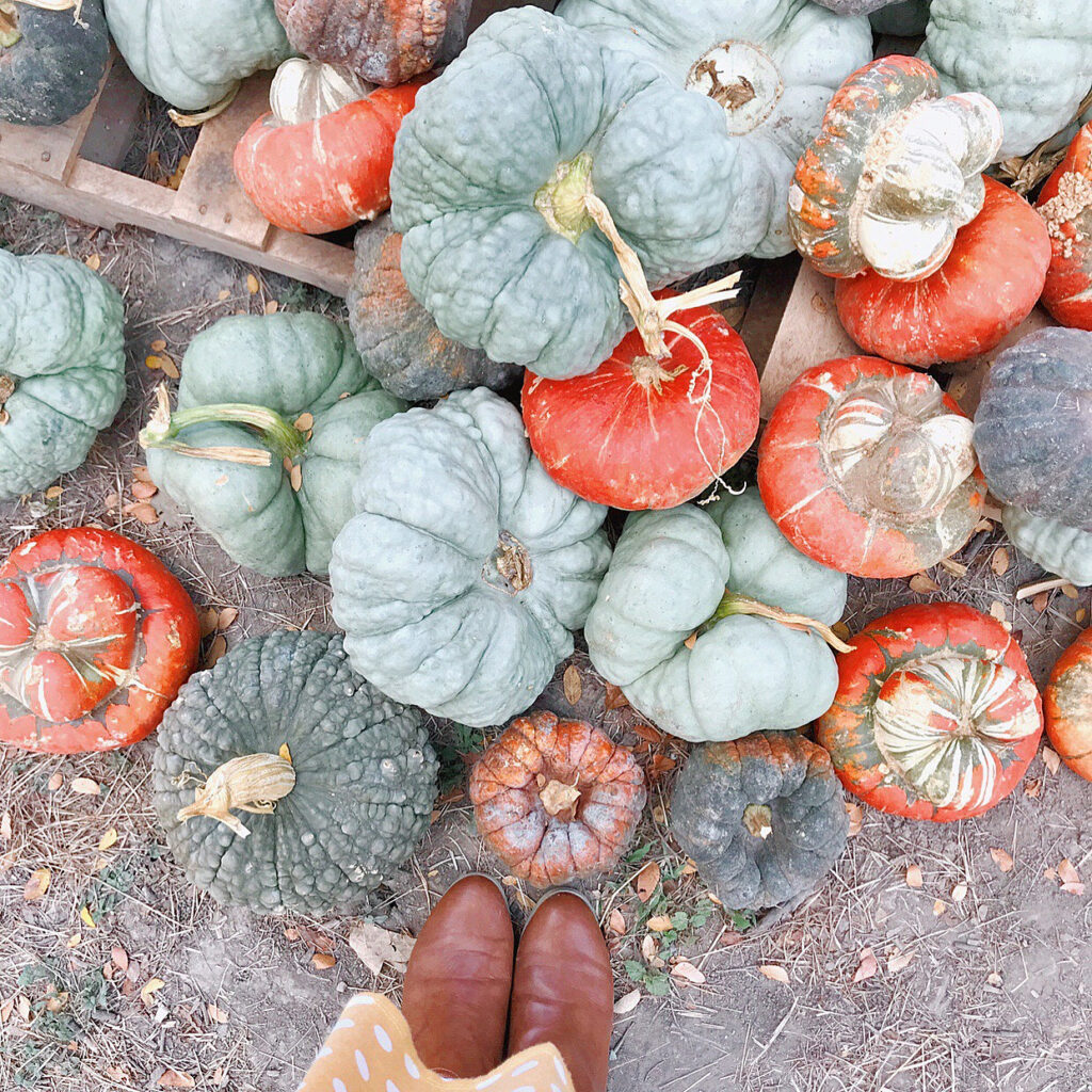 A list of some of the best Austin area pumpkin patches that are full of autumn fun activities for the whole family.