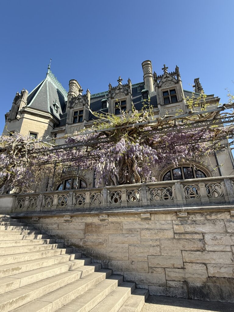 Everything you need to know about visiting Biltmore Estate in Asheville, North Carolina including where to take photos and how to save money.