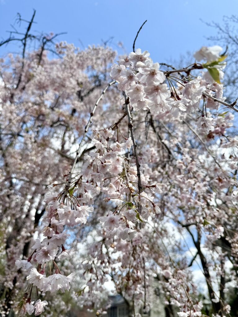 New Castle, Delaware