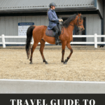 Travel Guide to Kentucky Horse Park