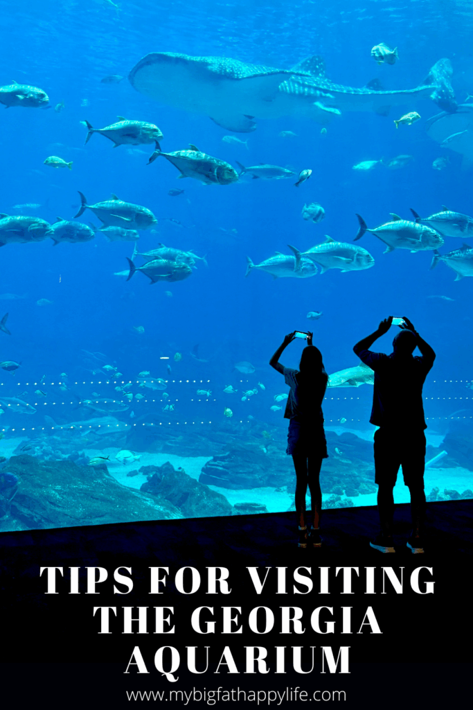 All the tips and everything you need to know about visiting the Georgia Aquarium in Atlanta.