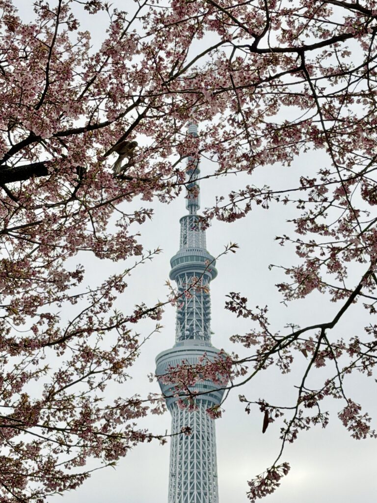 Tokyo Japan