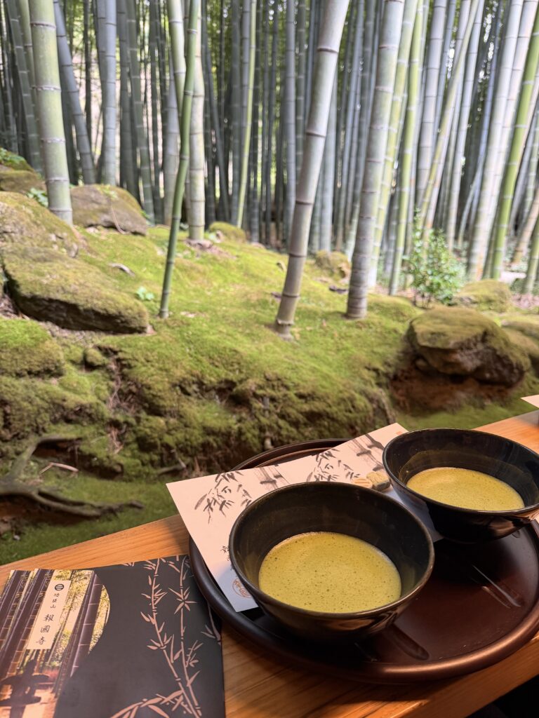 Everything You Need to Know About Taking a Day Trip to Kamakura from Tokyo