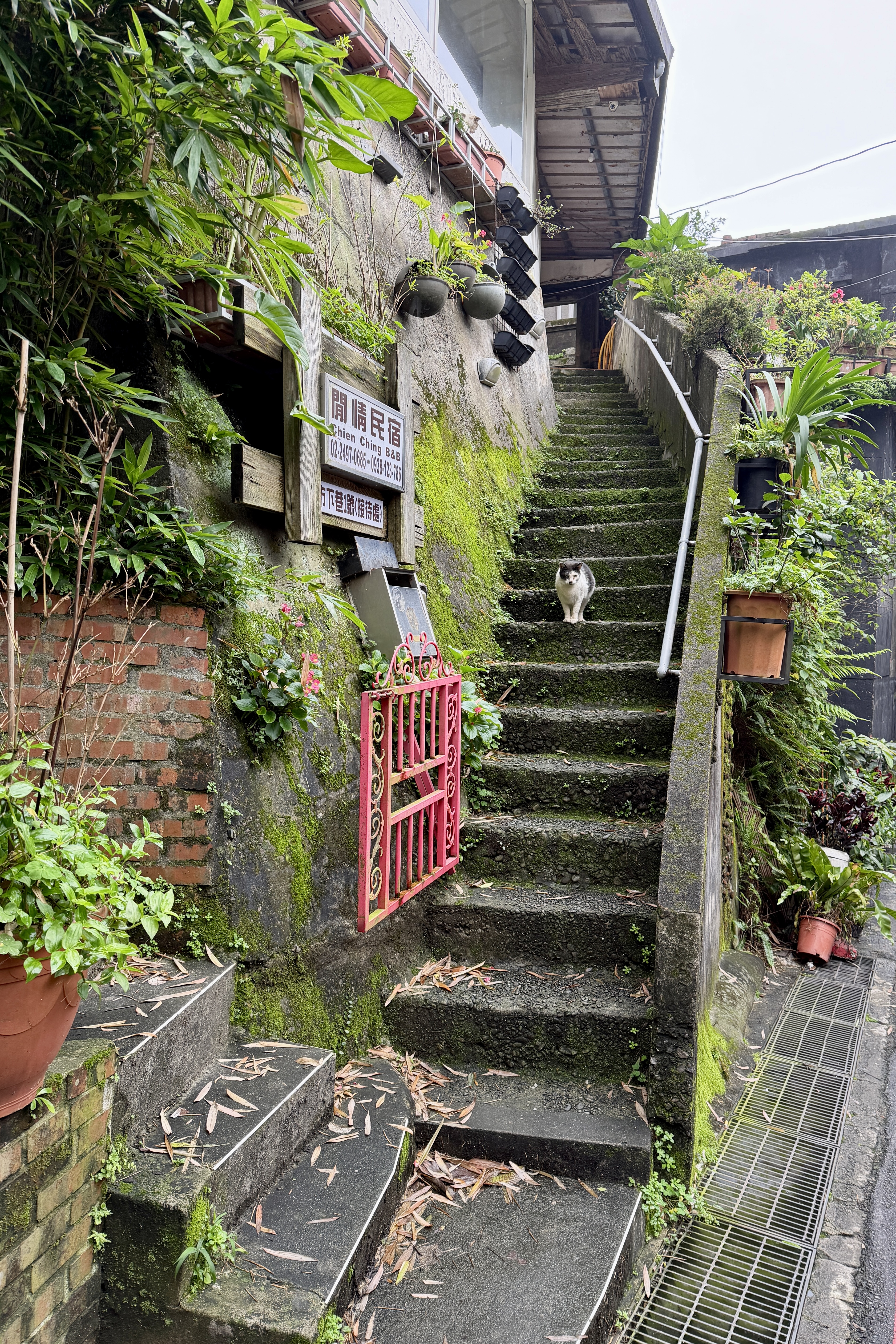 Jiufen Taipei Taiwain