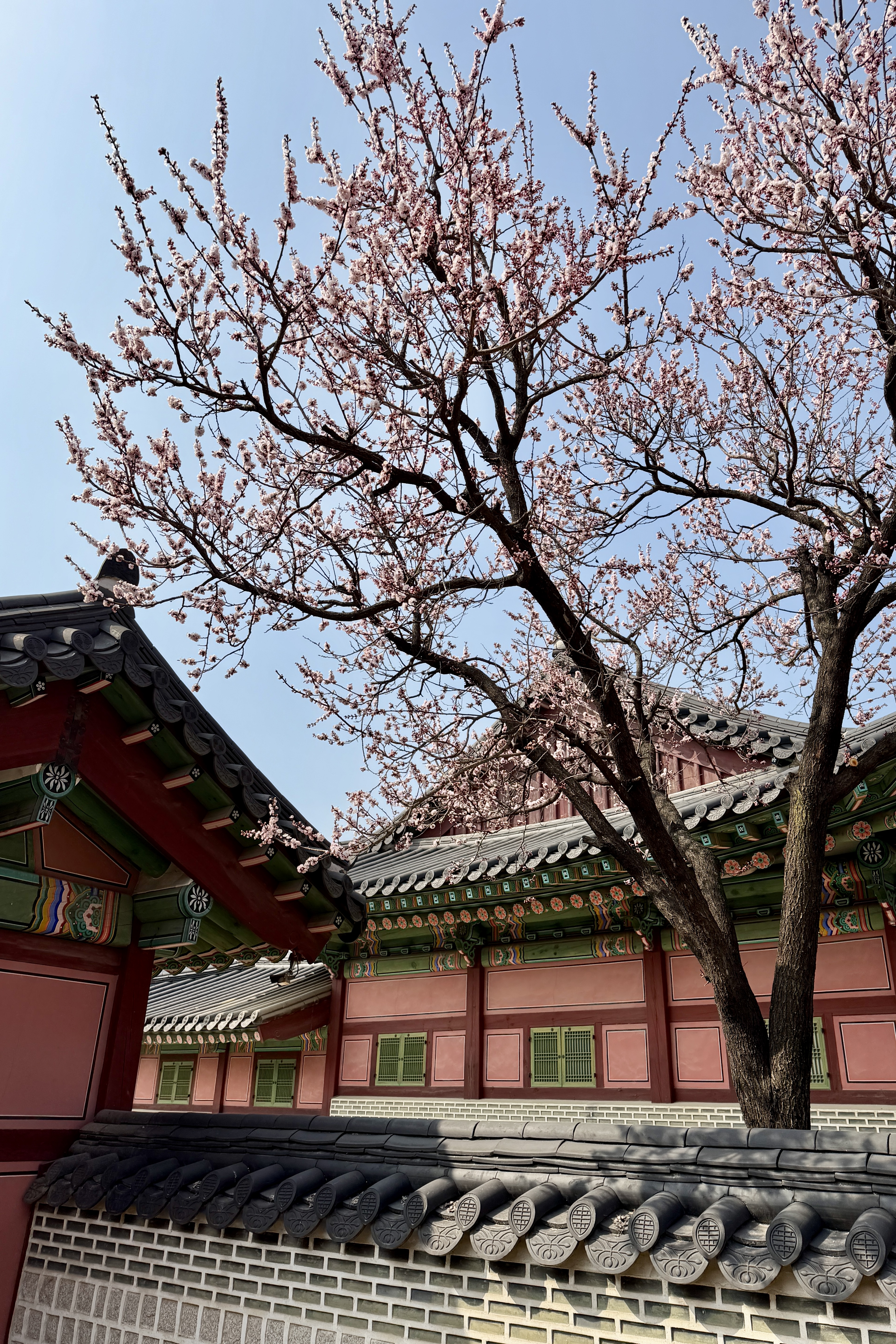 Seoul South Korea